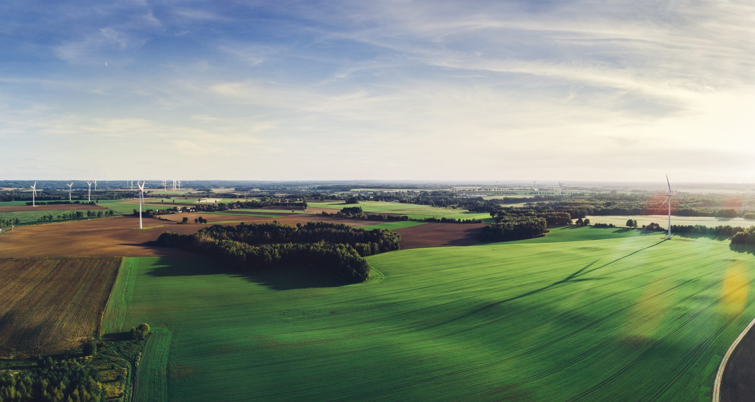Green meadows with windmills in Poland.
