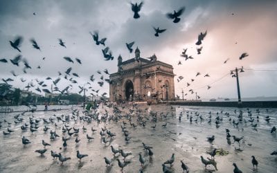 International Mail Services to India
