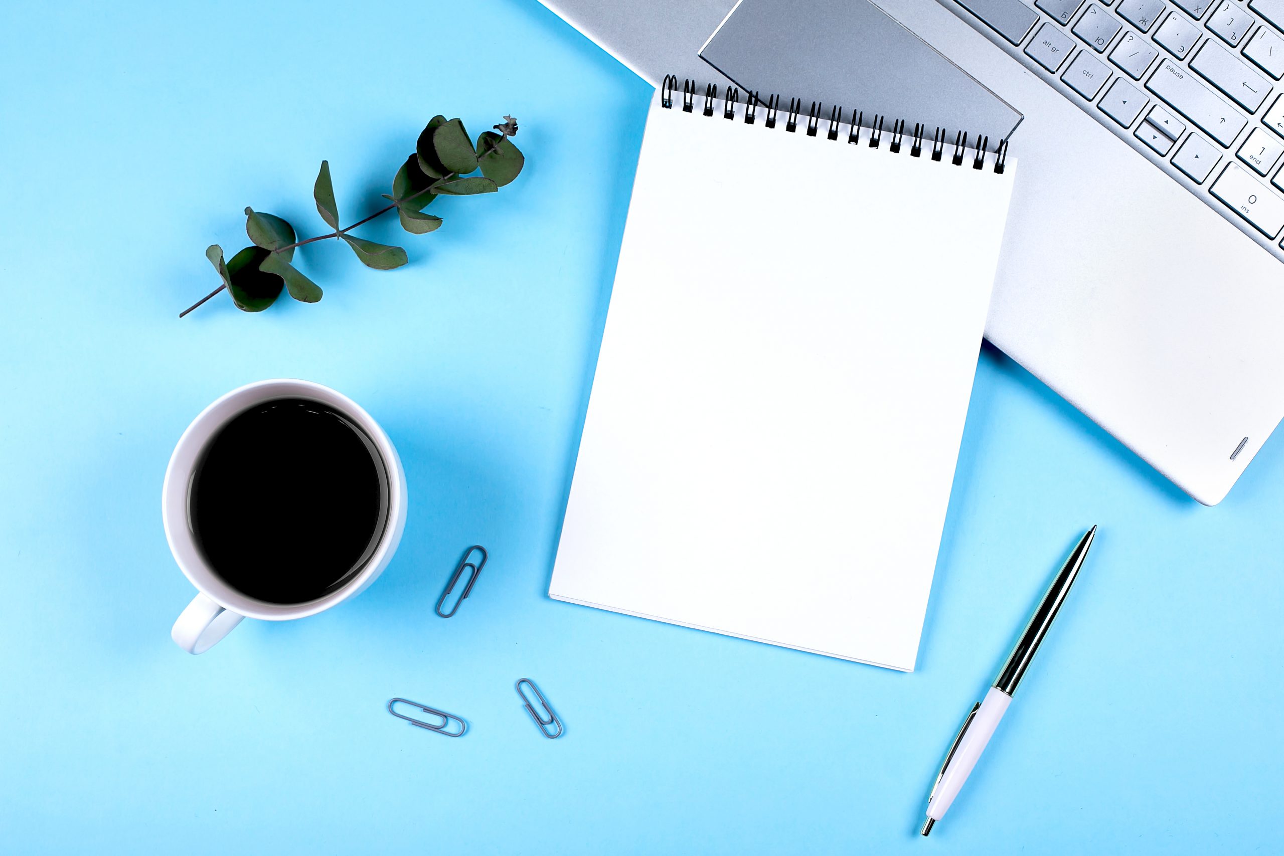 Flat lay office workspace with empty open notebook, eucalyptus, cup of coffee. Top view. copy space. Mockup concept