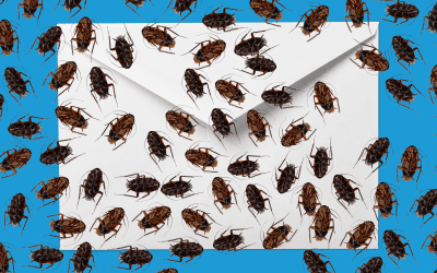 Cockroach Eggs in Envelopes – Mail Myths Busted
