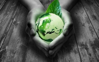 The Carbon Footprint of Mail: by Royal Mail Marketreach