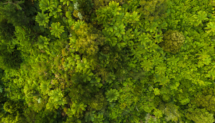 sustainable direct mail sustainable direct mail