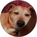 John Gardner profile picture