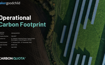 The Sustainability of Physical Mail: What It Really Looks Like in Practice